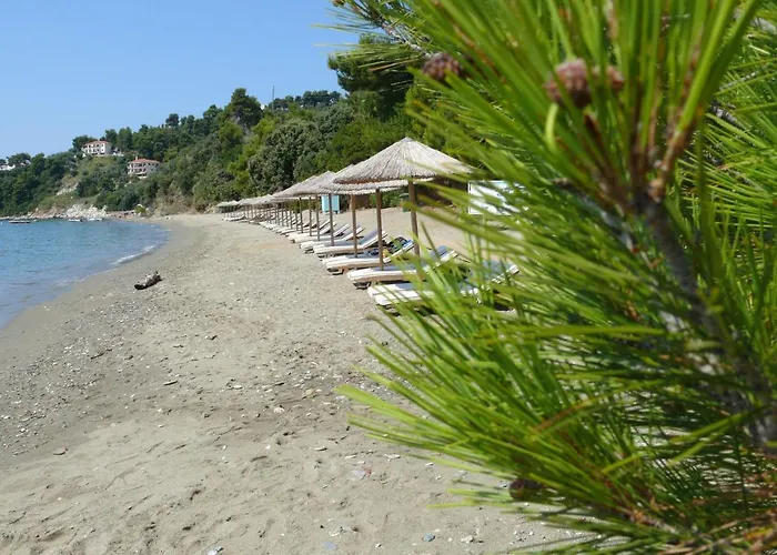 别墅 Golden King 瓦西里亚斯