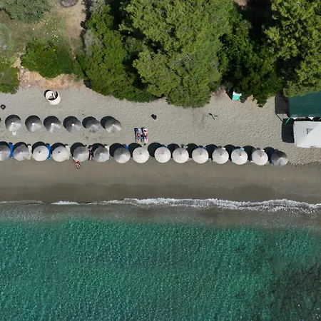 Golden King Vasilias (Skiathos)