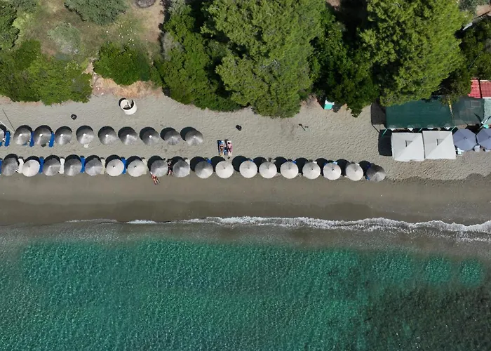 Golden King Vasilias (Skiathos)